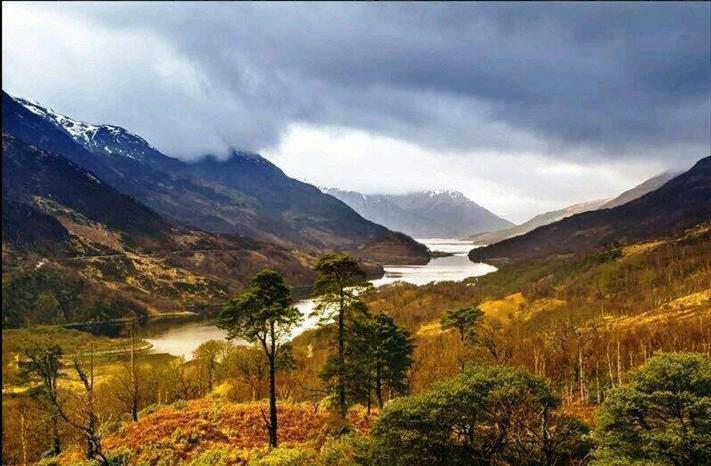 Forest View Guest House Kinlochleven Eksteriør bilde